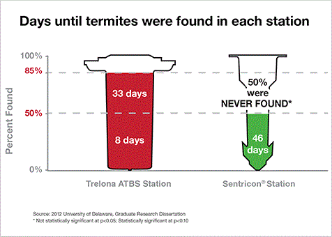 Termite Control in Salem SC