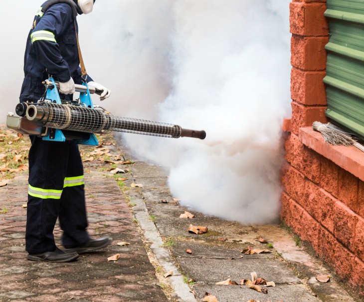 Termite Control Services Salem SC